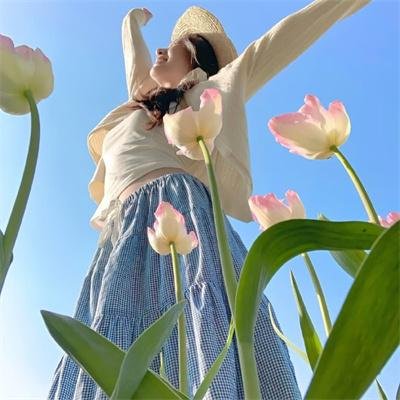 柏格曼岛