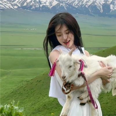 我们的家园2019