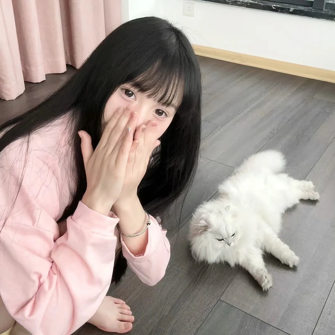 爱与森林
